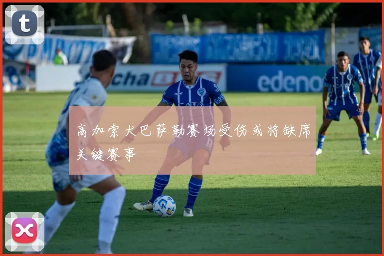 高加索犬巴萨勒赛场受伤或将缺席关键赛事