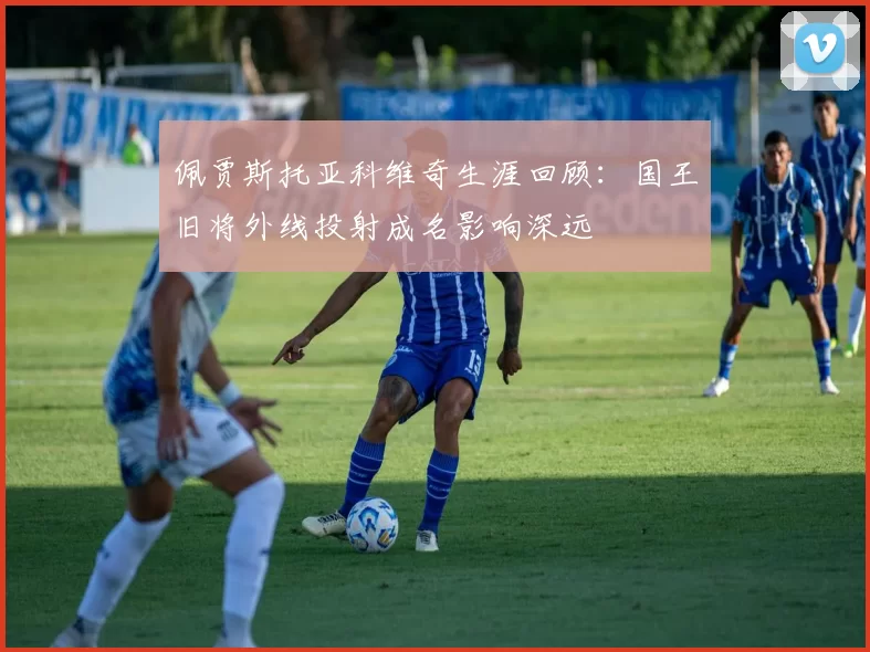 佩贾斯托亚科维奇生涯回顾:国王旧将外线投射成名影响深远
