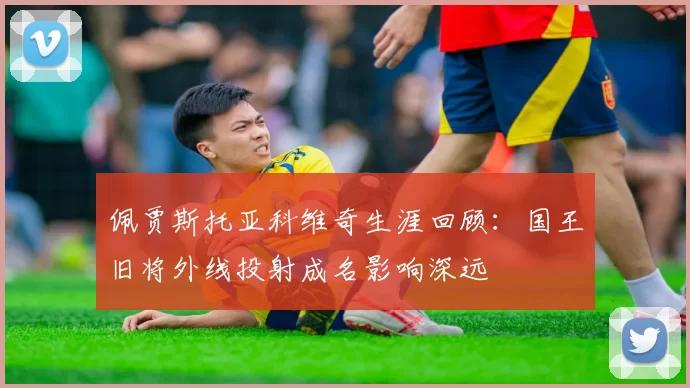 佩贾斯托亚科维奇生涯回顾:国王旧将外线投射成名影响深远